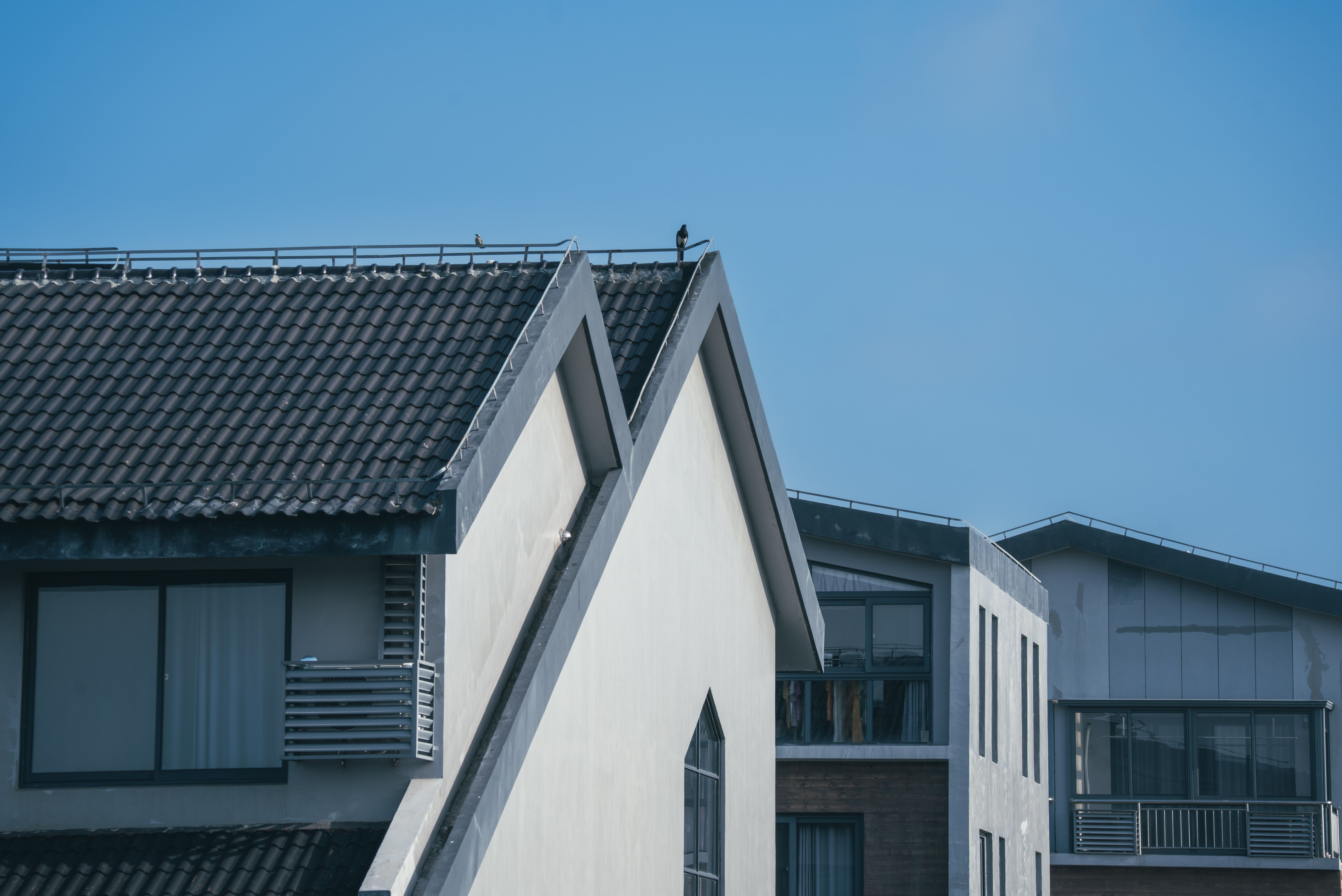 Roof Maintenance